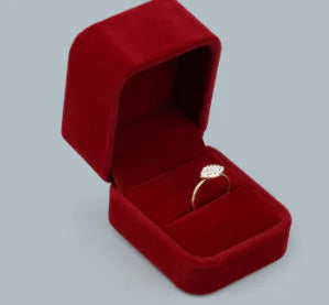 Jewelry Box and Storage Organizer